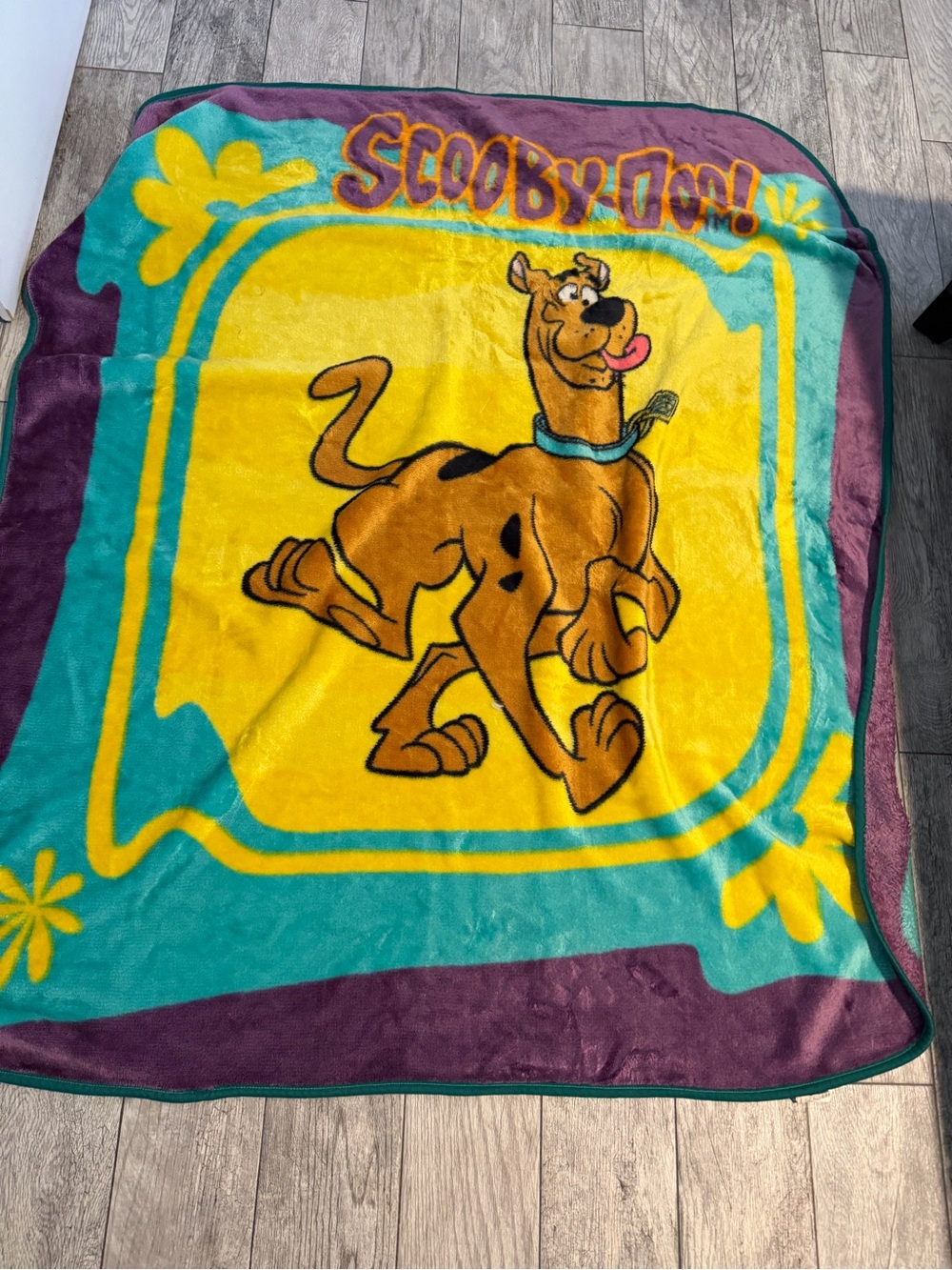 Vintage Scooby Doo Y2K 2000 Plush Throw Blanket Cartoon Network 48x58 Lux Fleece